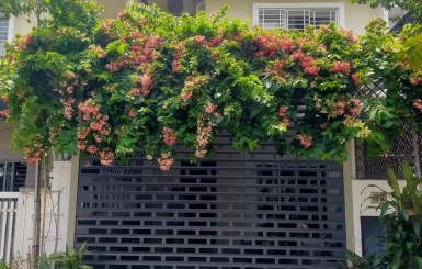 Dịch vụ lắp đặt cửa cuốn tại Phú Giáo chuyên nghiệp và nhanh chóng